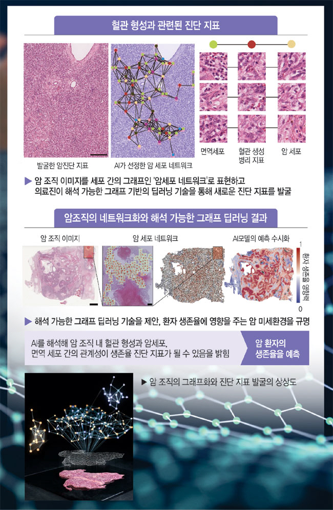 네이쳐엔지니어링 이미지