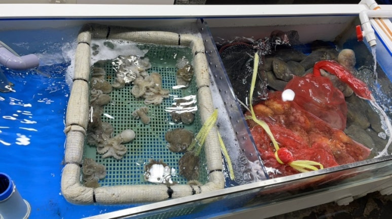 힘찬수산2 이미지