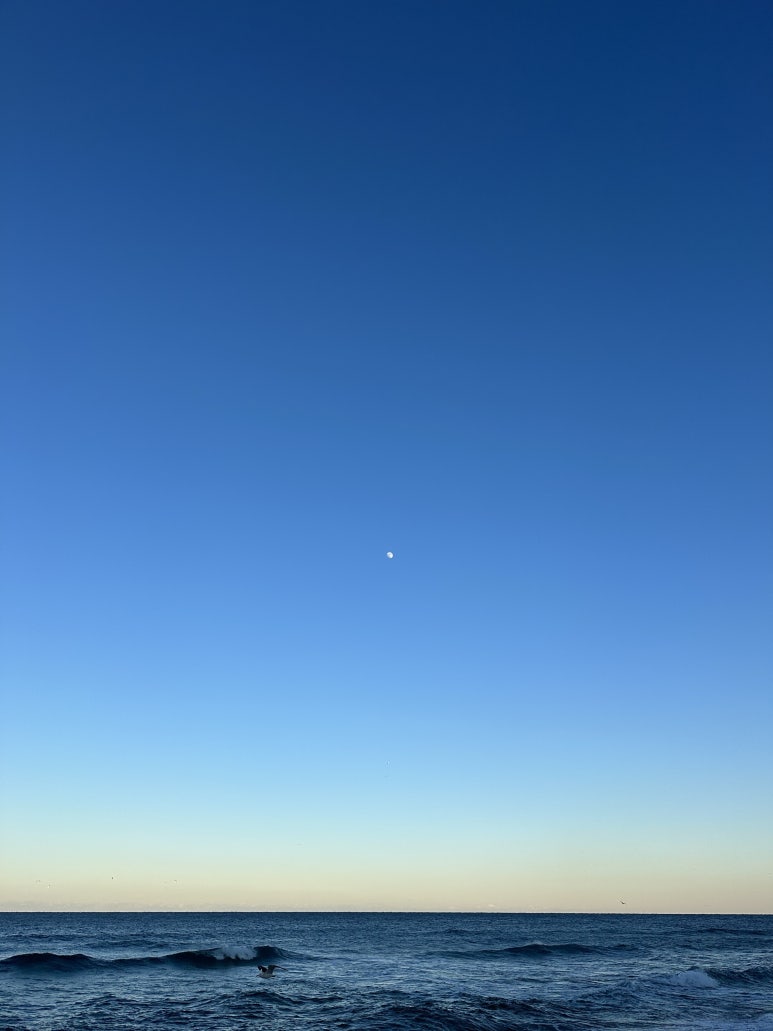 일산도장 이미지