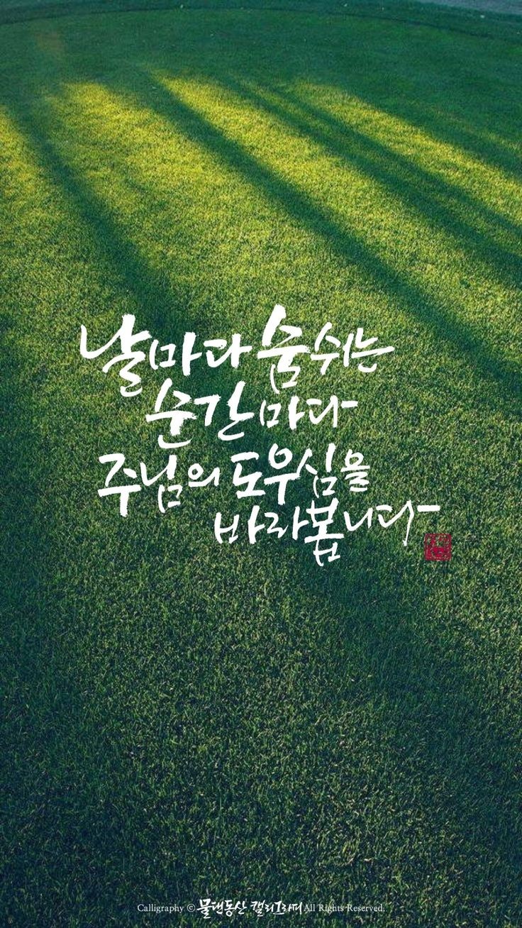 물댄동산 이미지