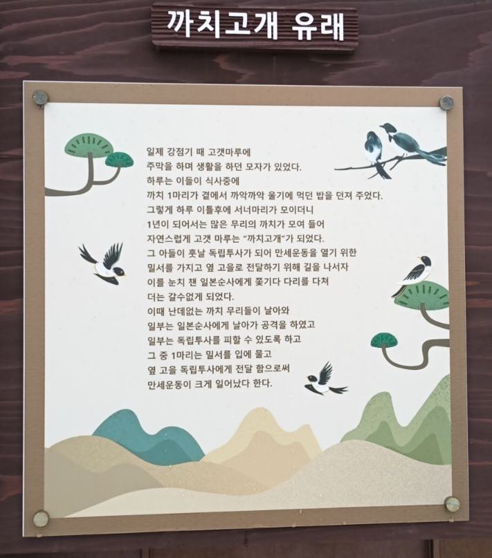 까치광고 이미지