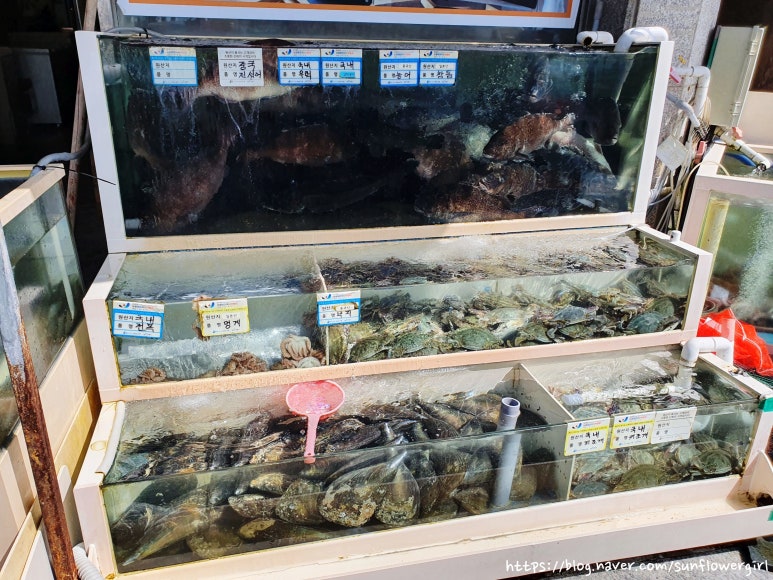용하장횟집 이미지
