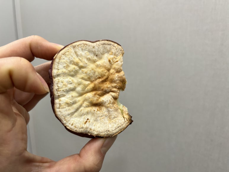 매머드익스프레스에이스하이테크시티점 이미지