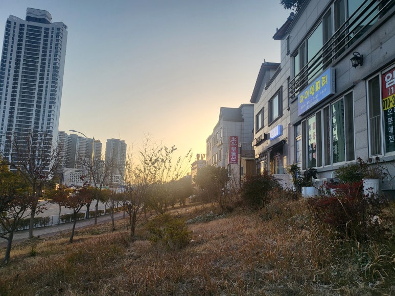 아이엠피티 이미지