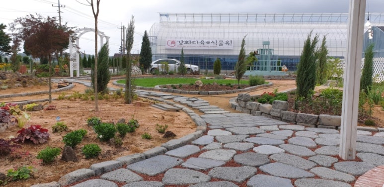 인천다육 이미지