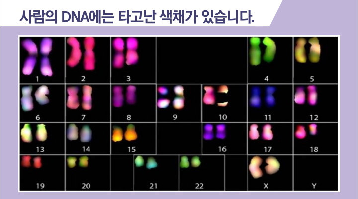 씨피에이 이미지