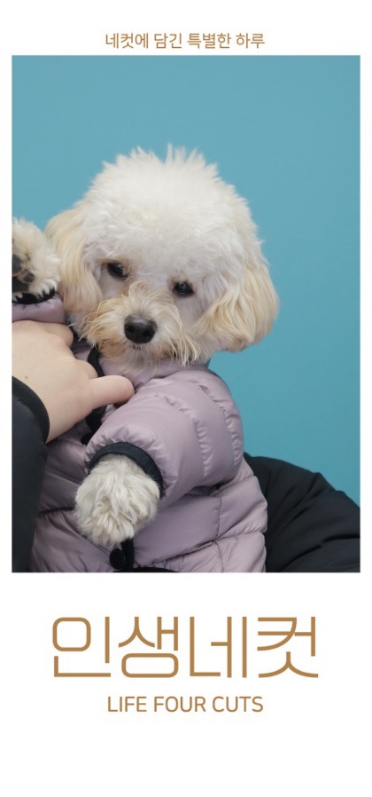 한잎꼬마김밥 이미지