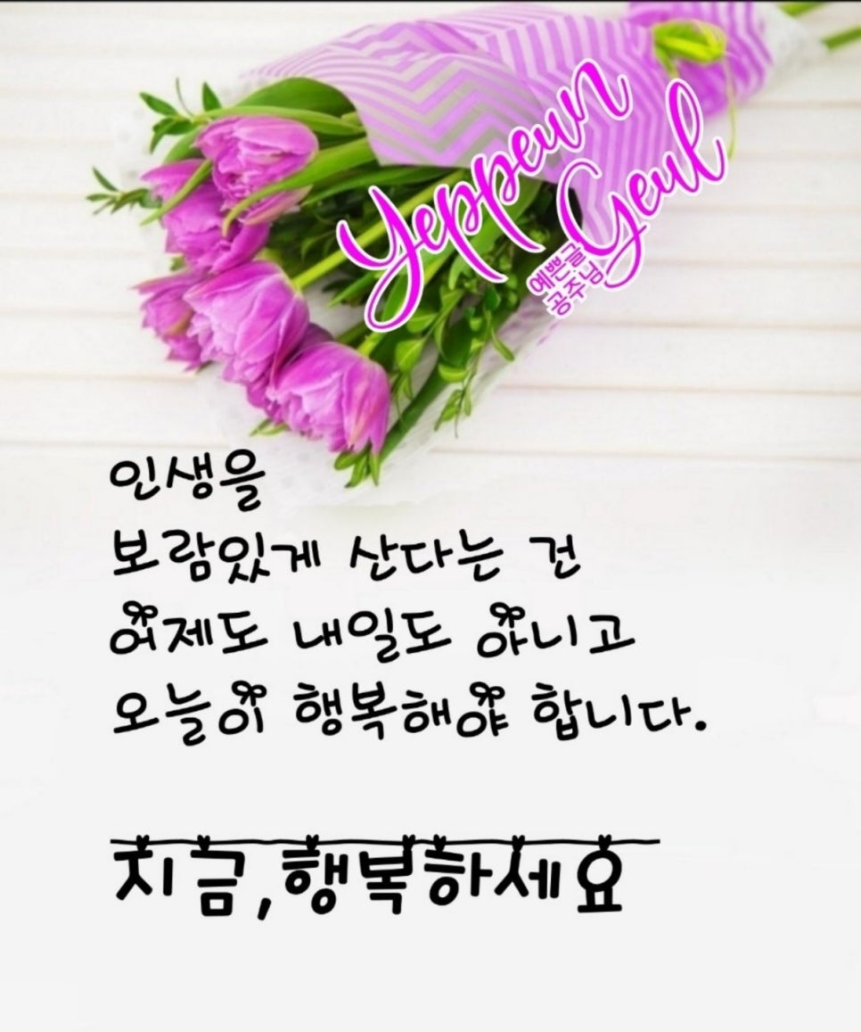 달님이네 이미지