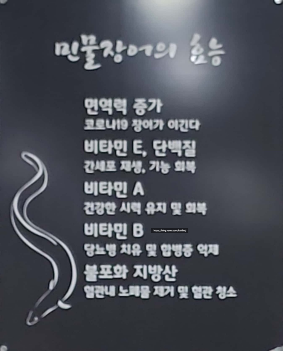 풍천일등장어 이미지