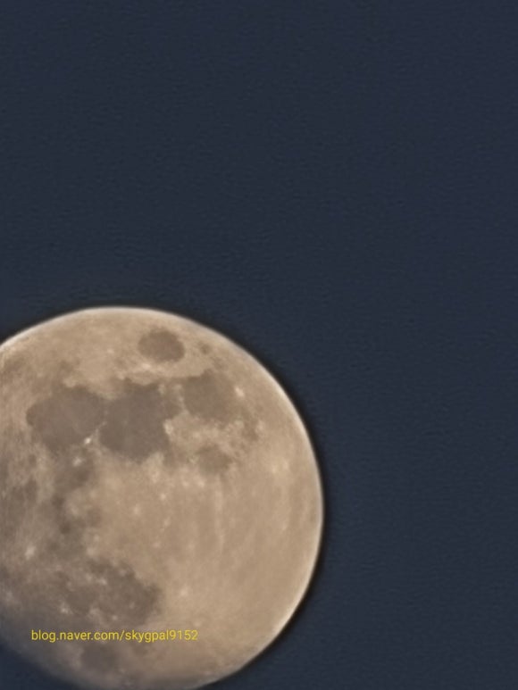신공주밤생산영농조합 이미지