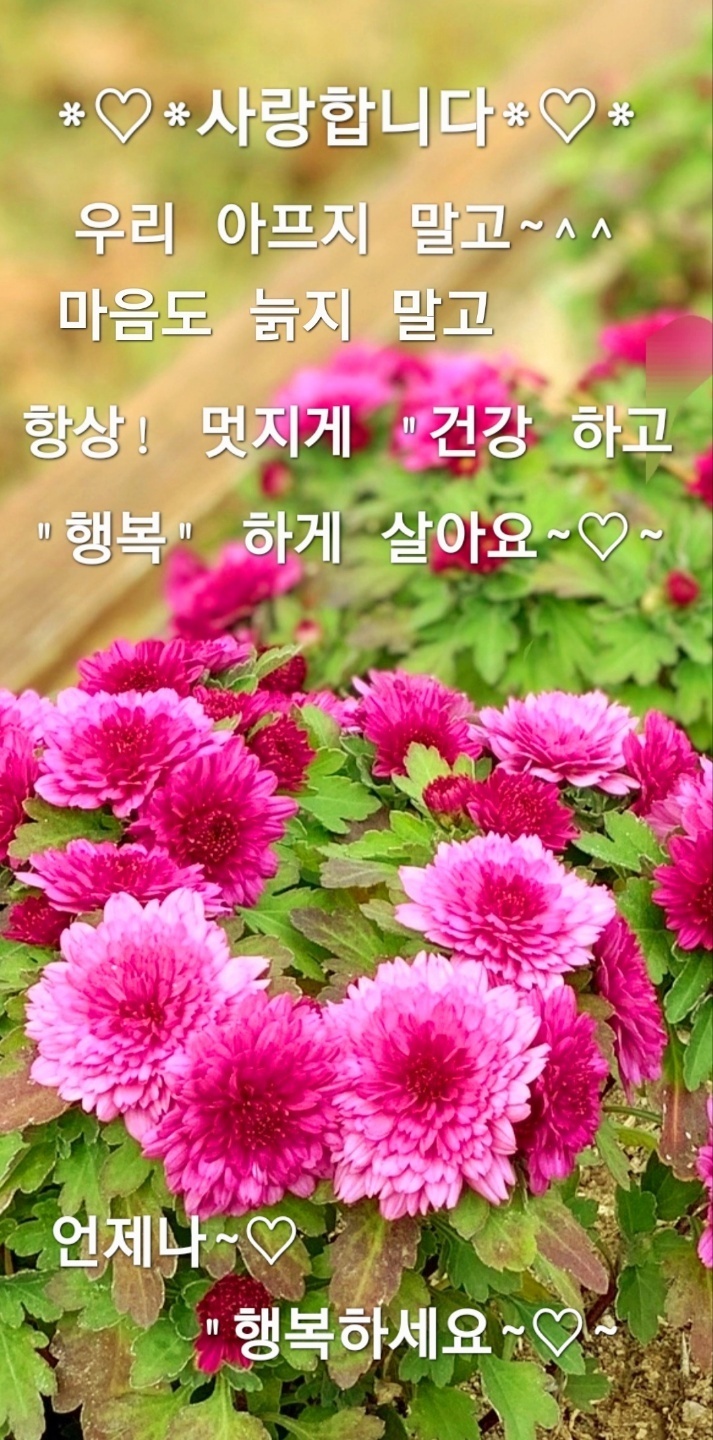 달님이네 이미지