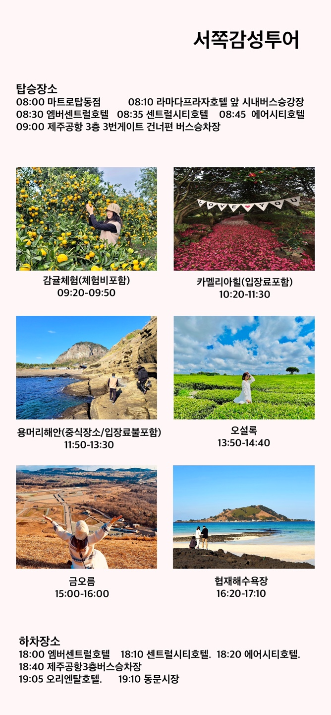 제주포인트투어 이미지