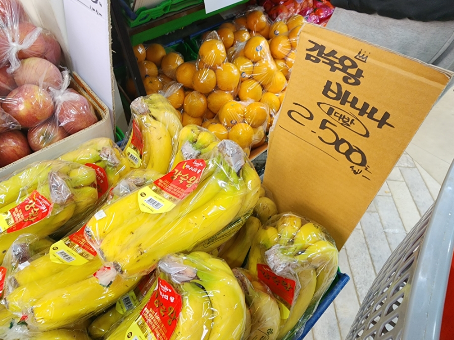 미사청과 이미지