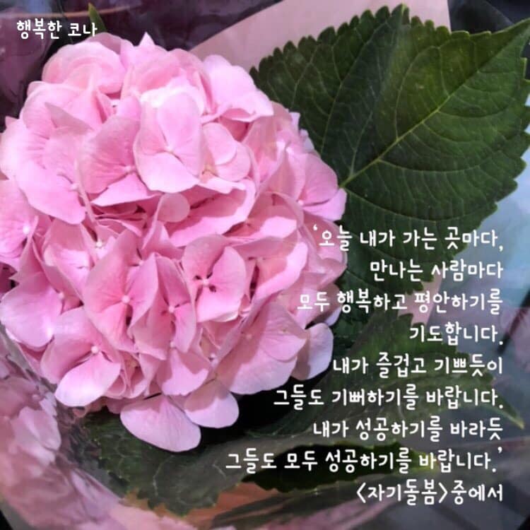 모스커피 이미지