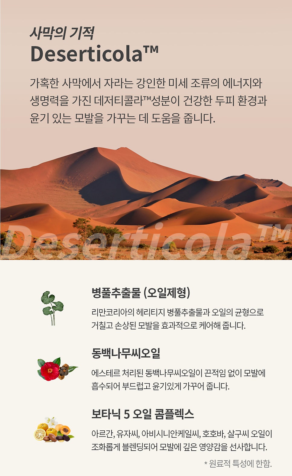 티는헤어 이미지