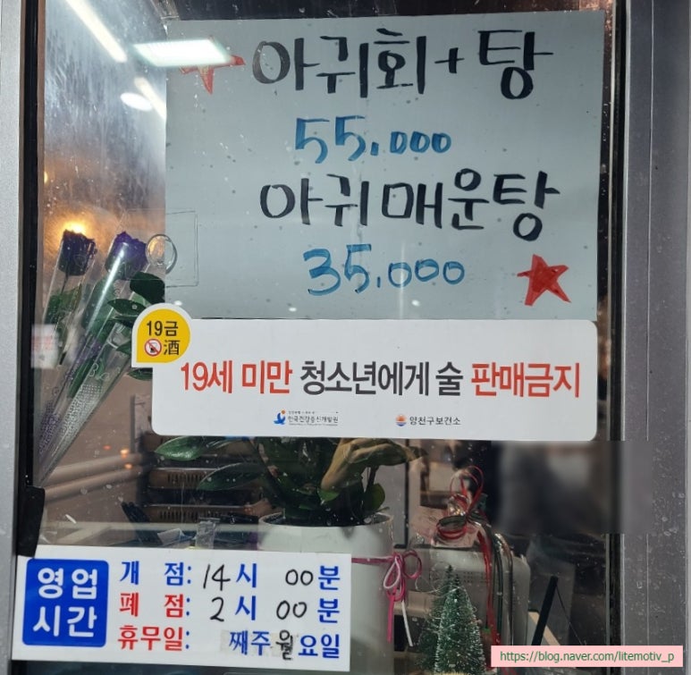 청춘어항 이미지