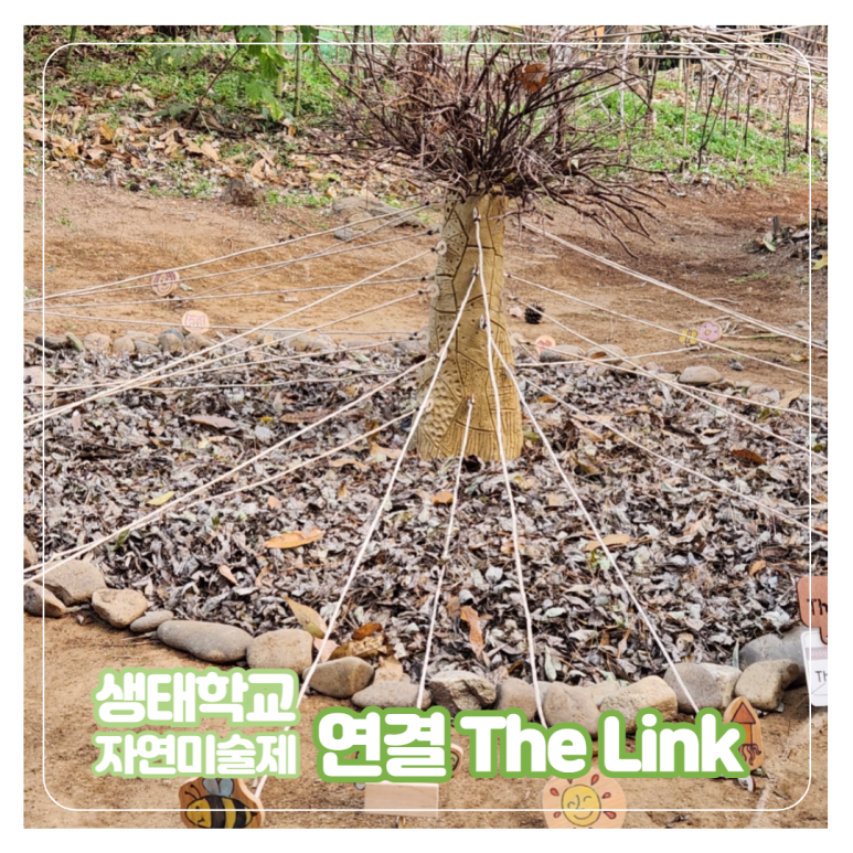 미술생태연구소 이미지