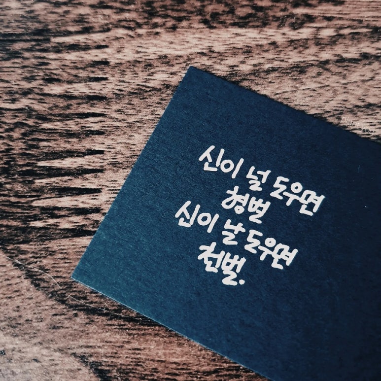 플랜츄(PLANT YOU) 이미지
