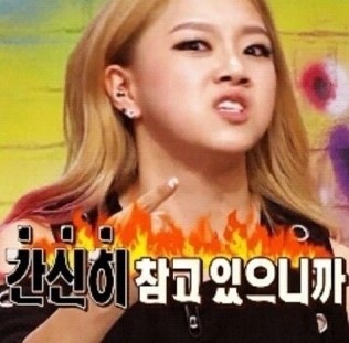 베이지보울 이미지