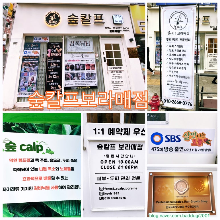 숲칼프보라매 이미지