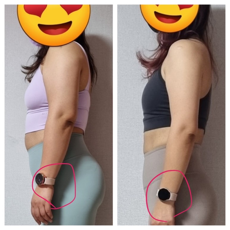 피티바디 이미지