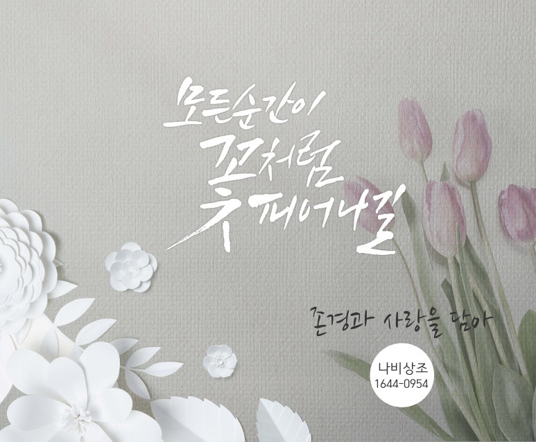 나비상조 이미지