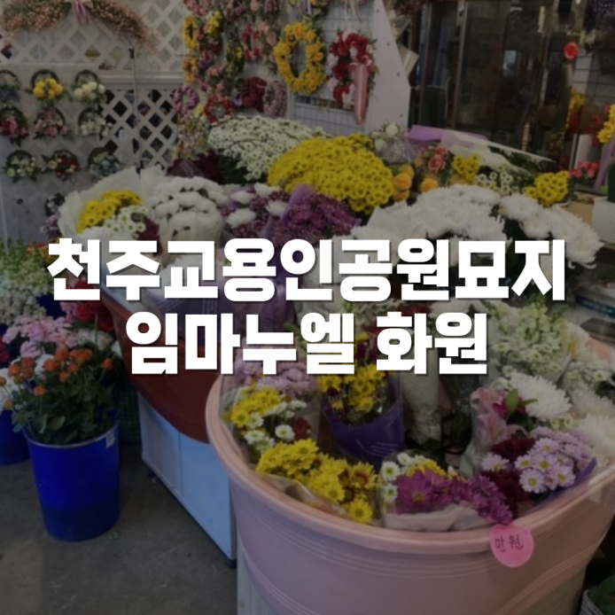 임마누엘화원 이미지
