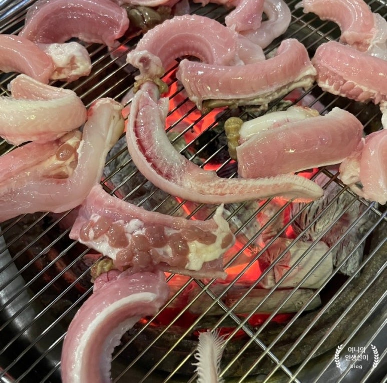안박사 곰장어 이미지