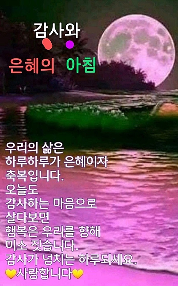 달님이네 이미지