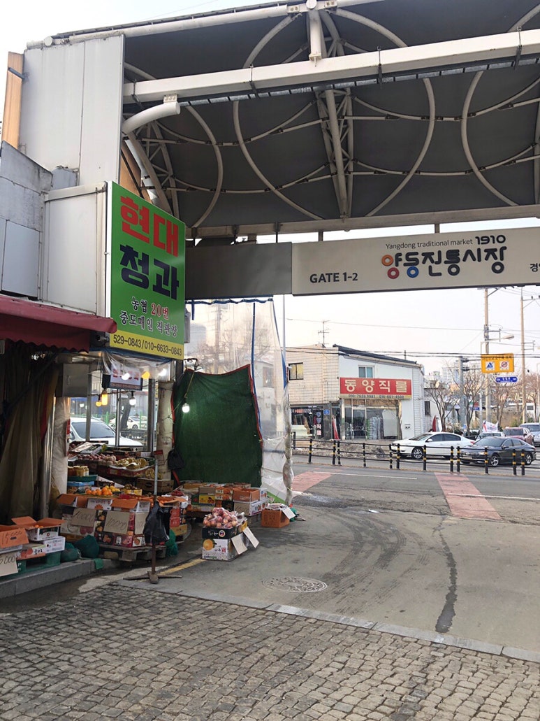 양동청과 이미지