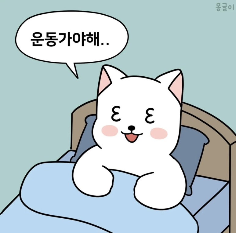 브라이튼휘트니스 이미지