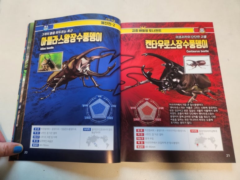 대진문화사 이미지