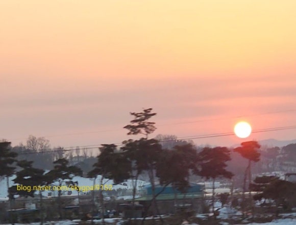 신공주밤생산영농조합 이미지