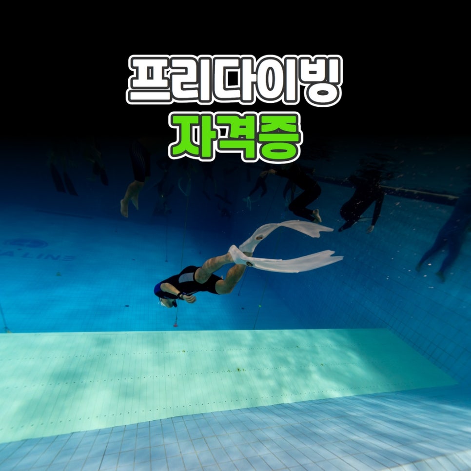 바루나프리다이빙 이미지