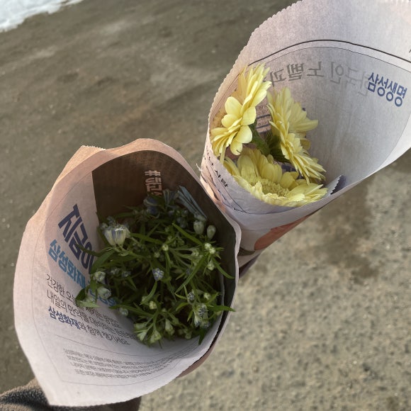 동보화원 이미지