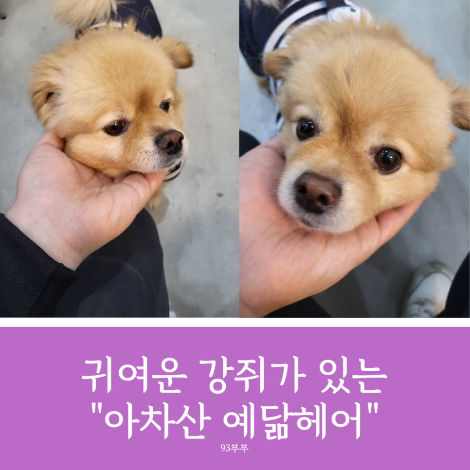 예닮미용실 이미지