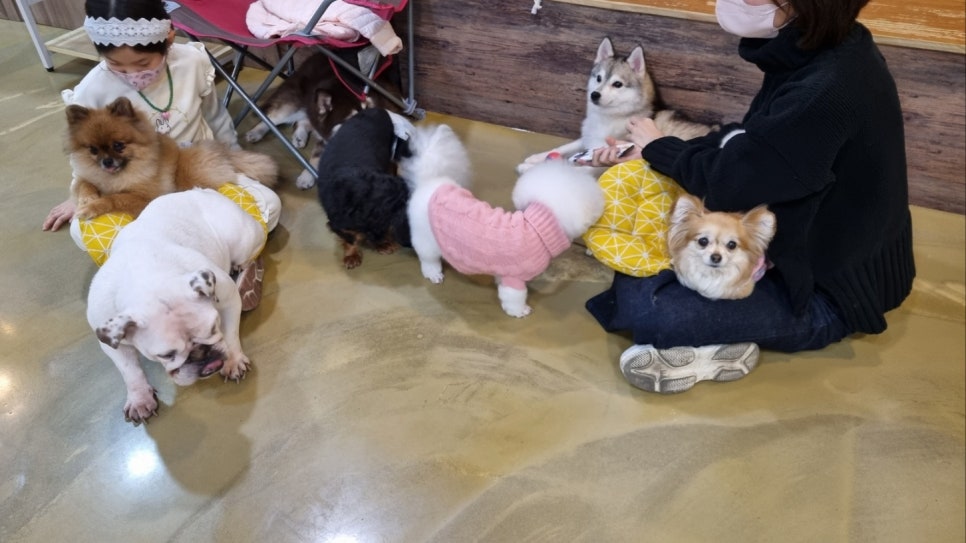 미루카페 이미지