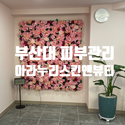 아라누리(스킨앤뷰티) 이미지