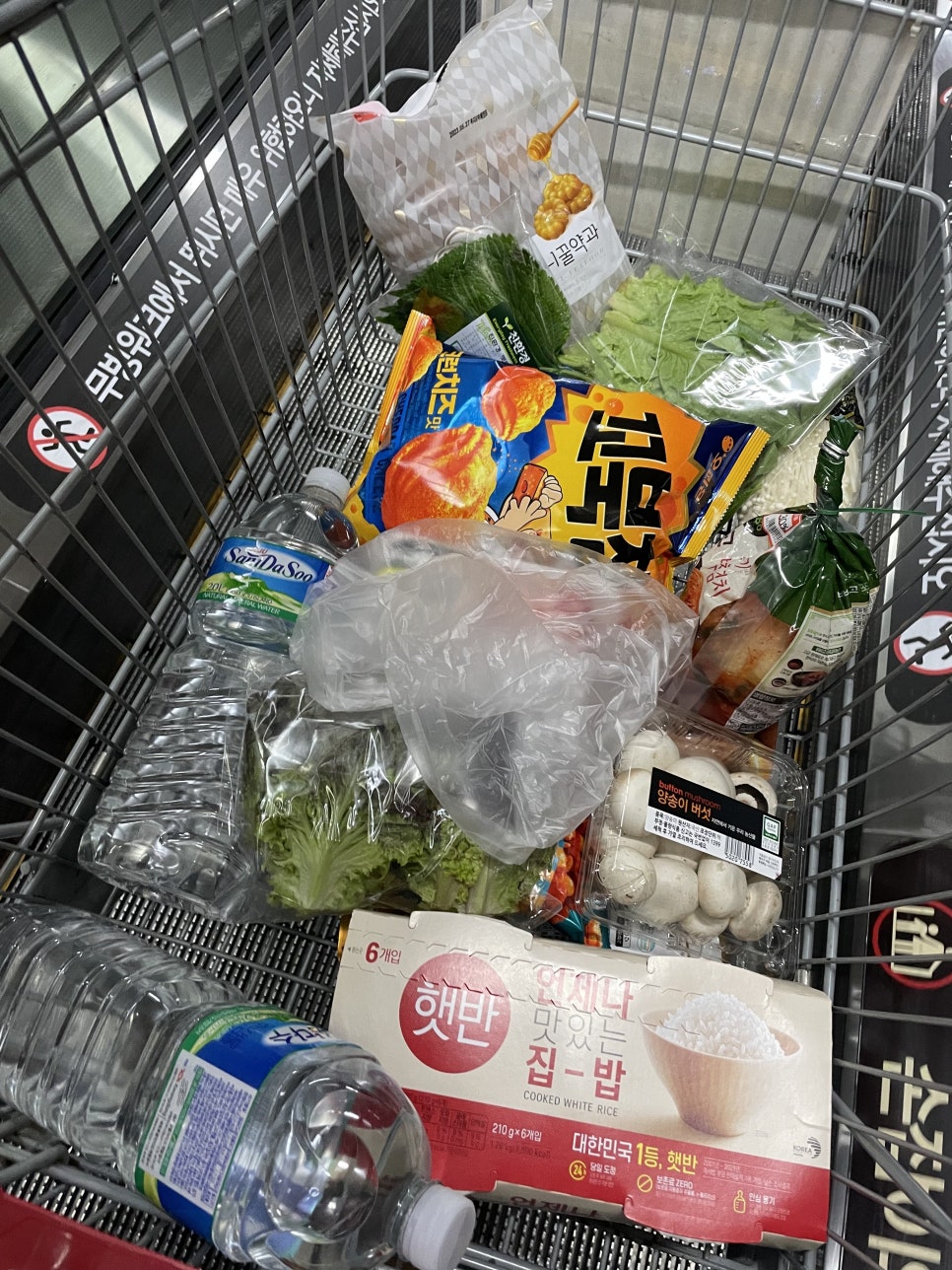 더볼더 이미지