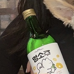 홍대노가리포차 이미지