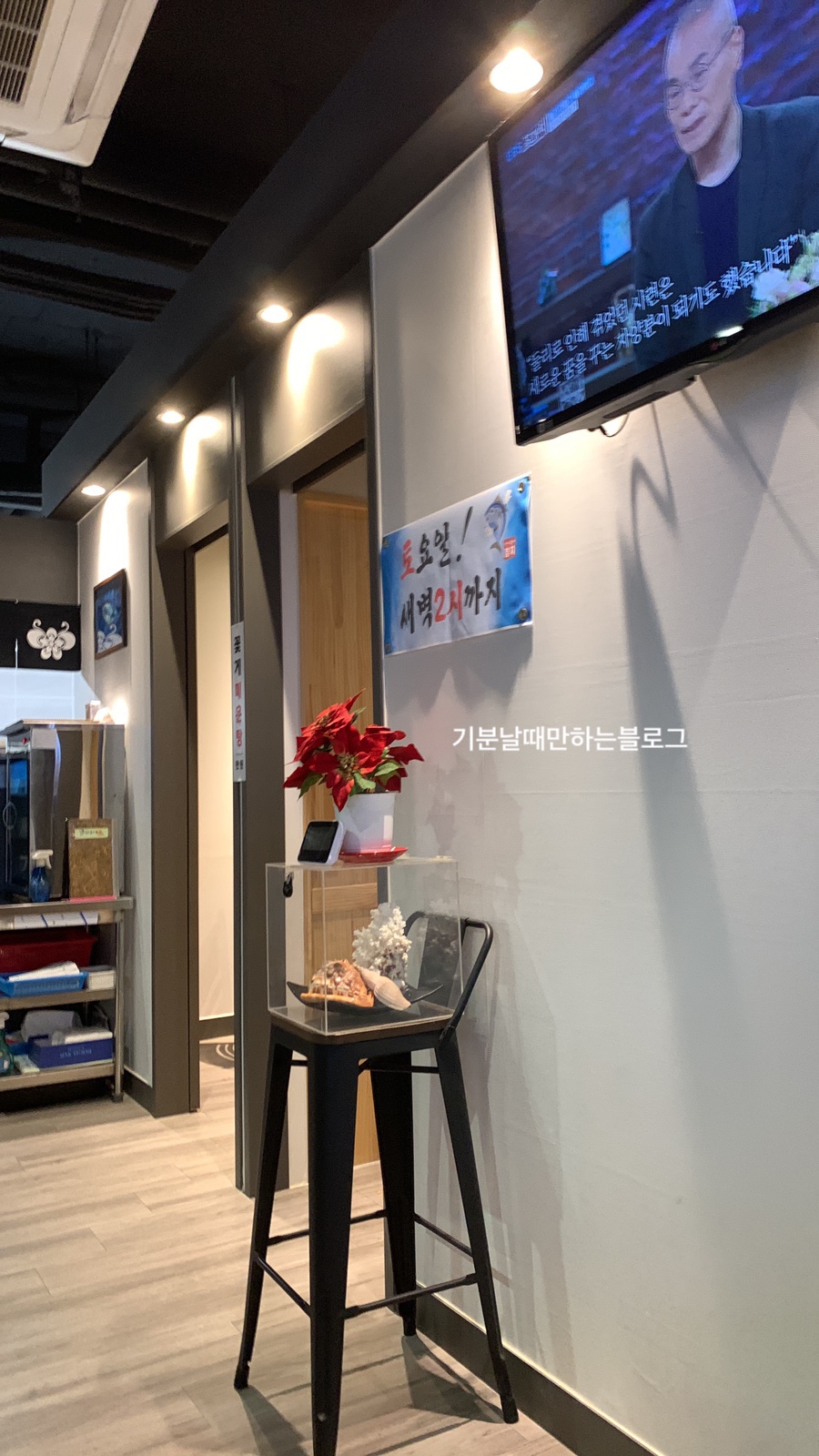 차이튜나참치 이미지