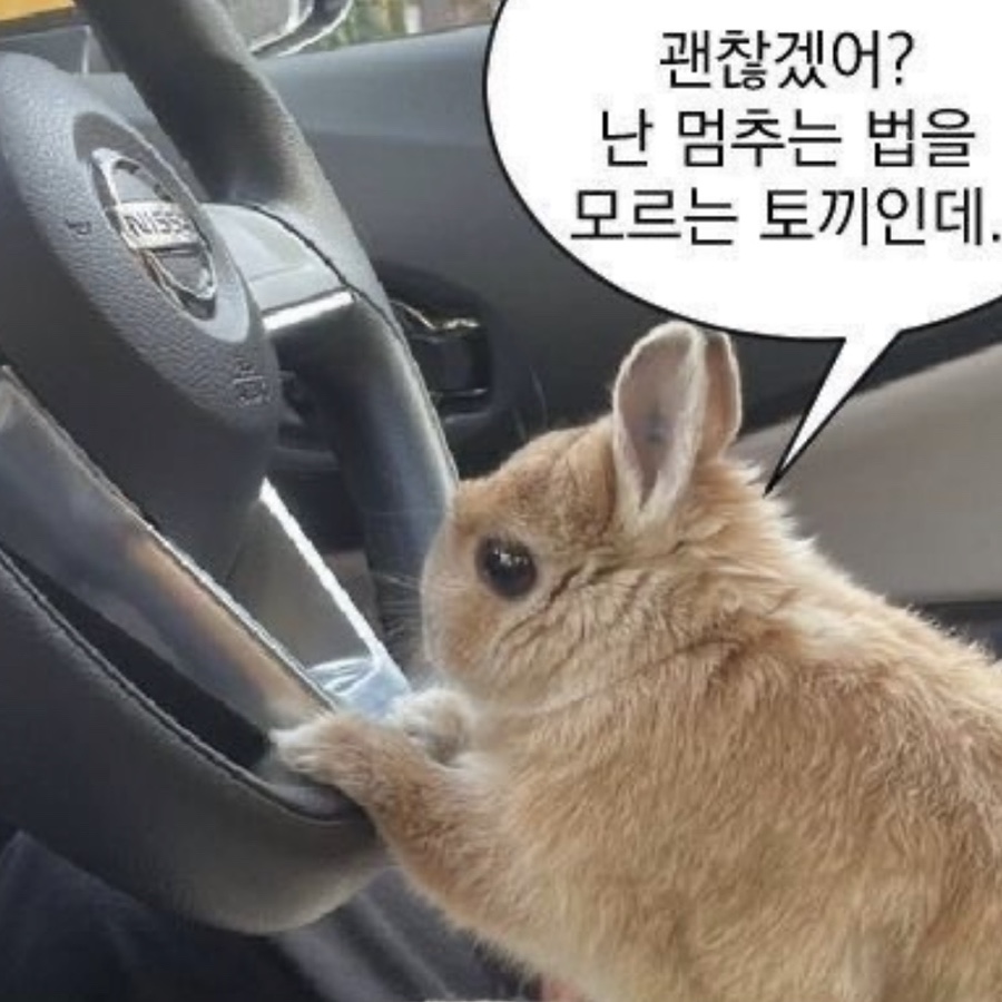 솔트씨 이미지