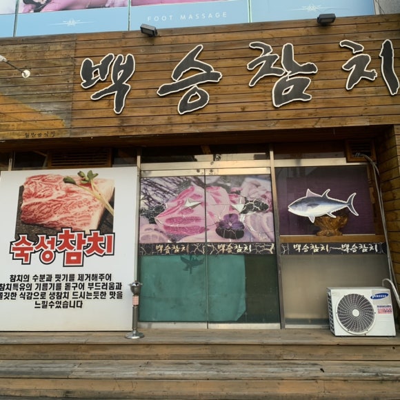 백승참치 이미지
