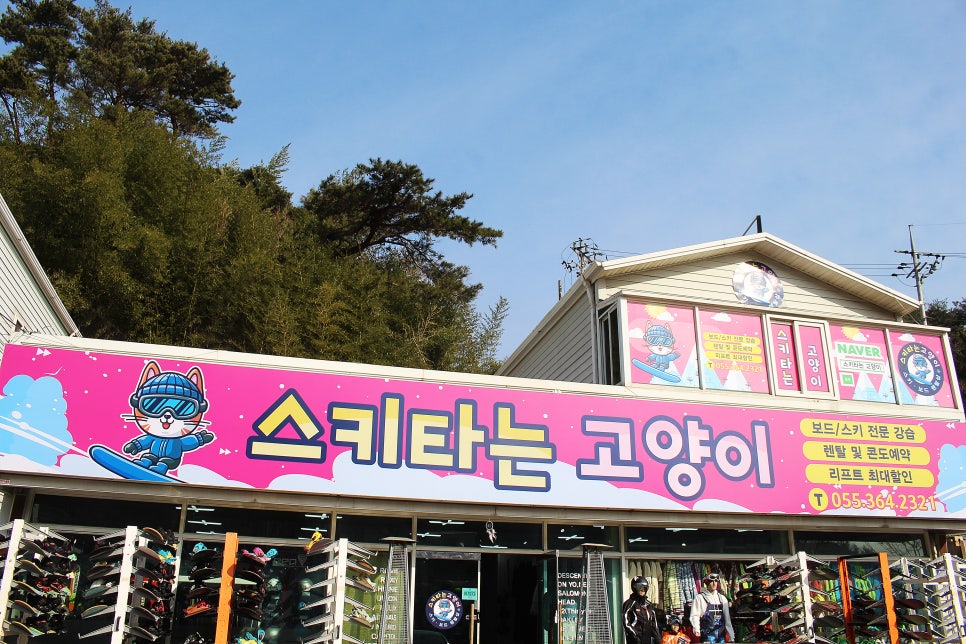 스키타는고양이 이미지