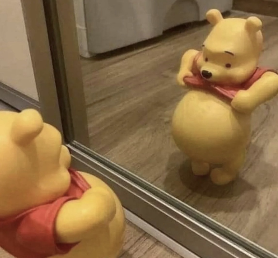 베이비베어 이미지