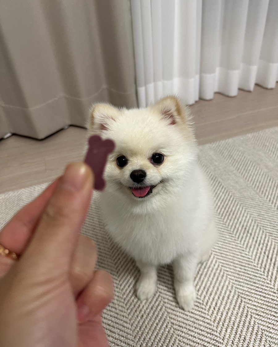벌크커피화순점 이미지
