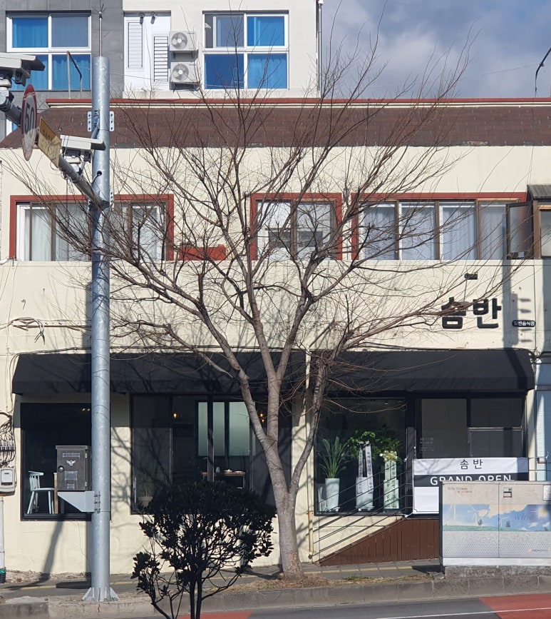 솜반 이미지
