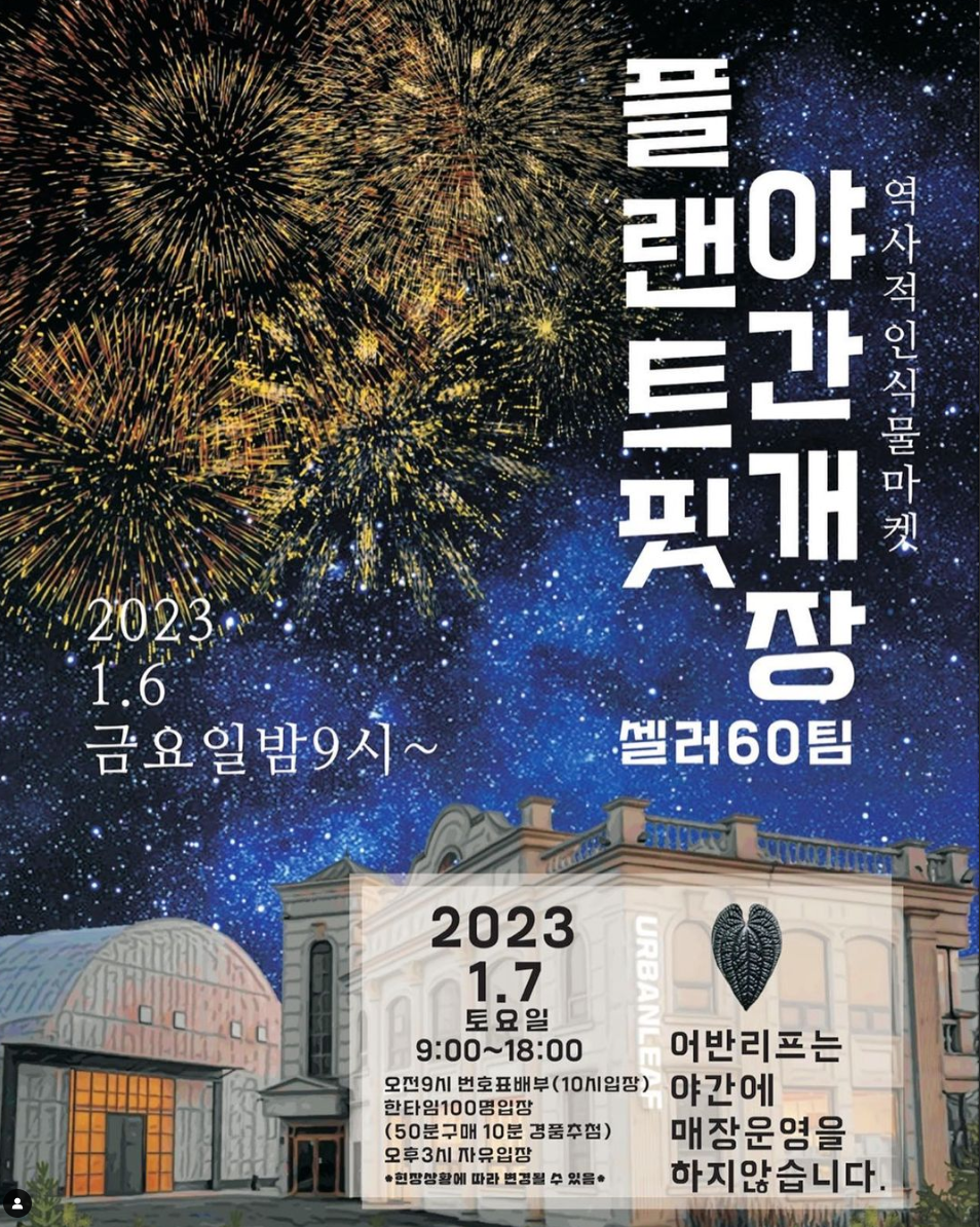 플랜츠플로라 이미지