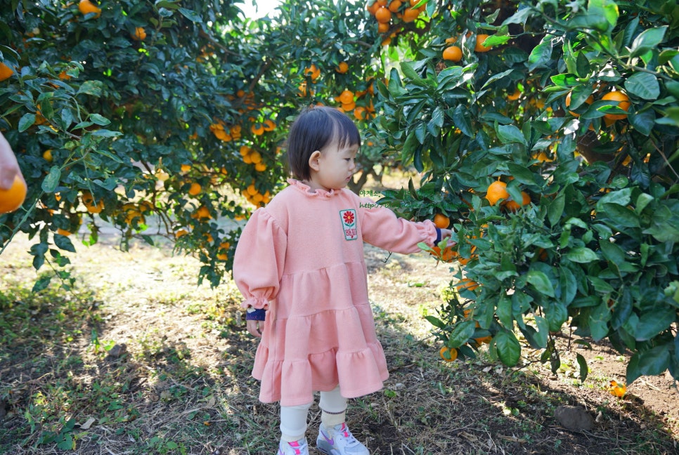 구들민박 이미지