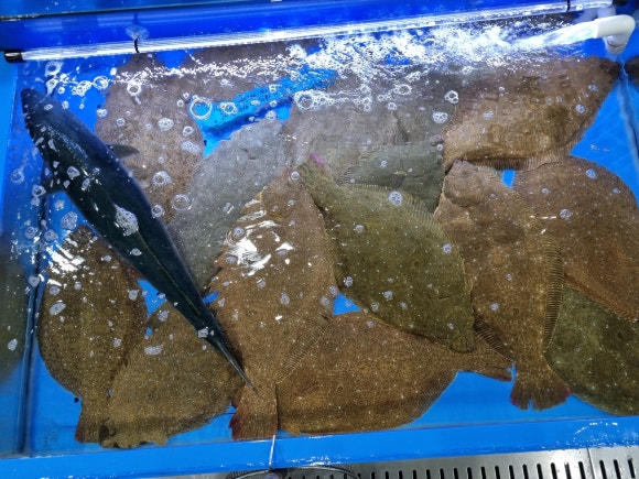 왕궁횟집 이미지